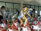 sandos-carol-beach-resort-and-spa-gym.jpg