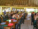 sandos-carol-beach-resort-and-spa-iguanas.jpg