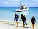 sandos-playacar-beach-resort-and-spa-buceo.jpg